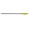 Strela Skylon X-Bow Bolts Carbon 8.7mm/20'' moonNock 6 komada