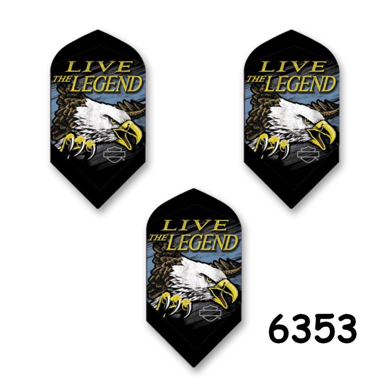 Harley Davidson Flights