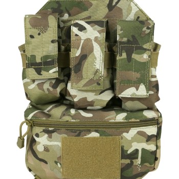 Guardian Assault Panel - BTP