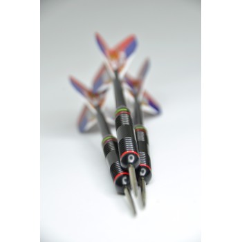 Rick's Home 24g Steeldart