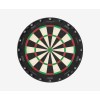 Aspar Professional Dartboard