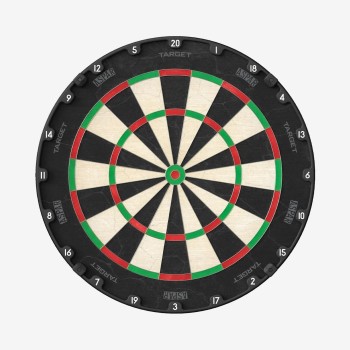 Aspar Professional Dartboard