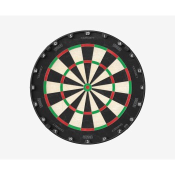 Aspar Professional Dartboard