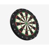 Aspar Professional Dartboard