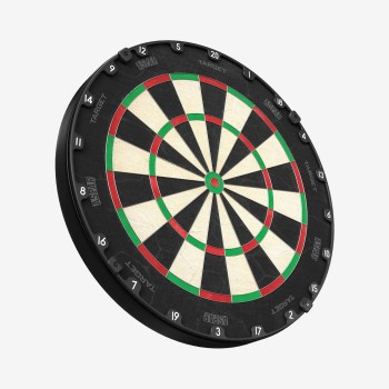 Aspar Professional Dartboard