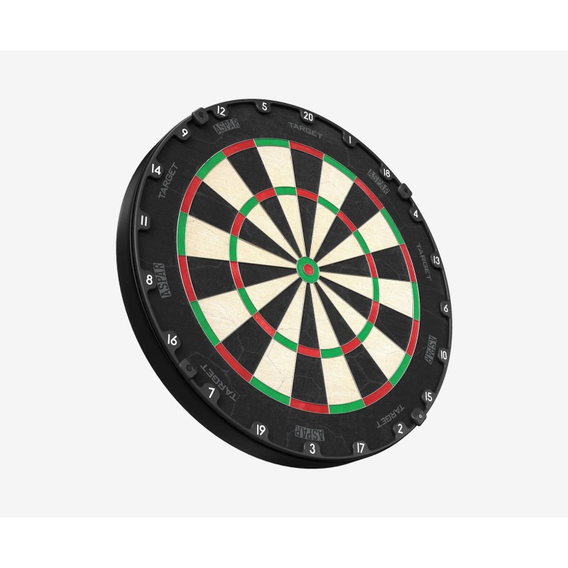 Aspar Professional Dartboard